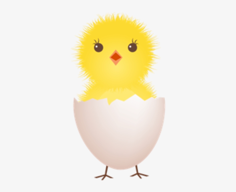 Chicken Egg Clipart.