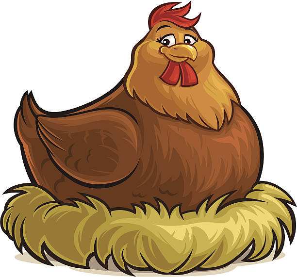 chicken on nest clipart 20 free Cliparts | Download images on