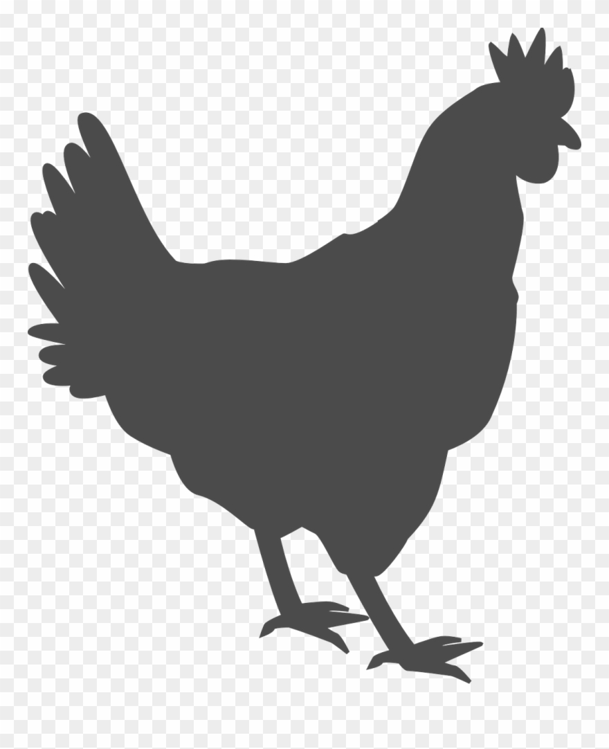 chicken outline clip art 20 free Cliparts | Download images on ...