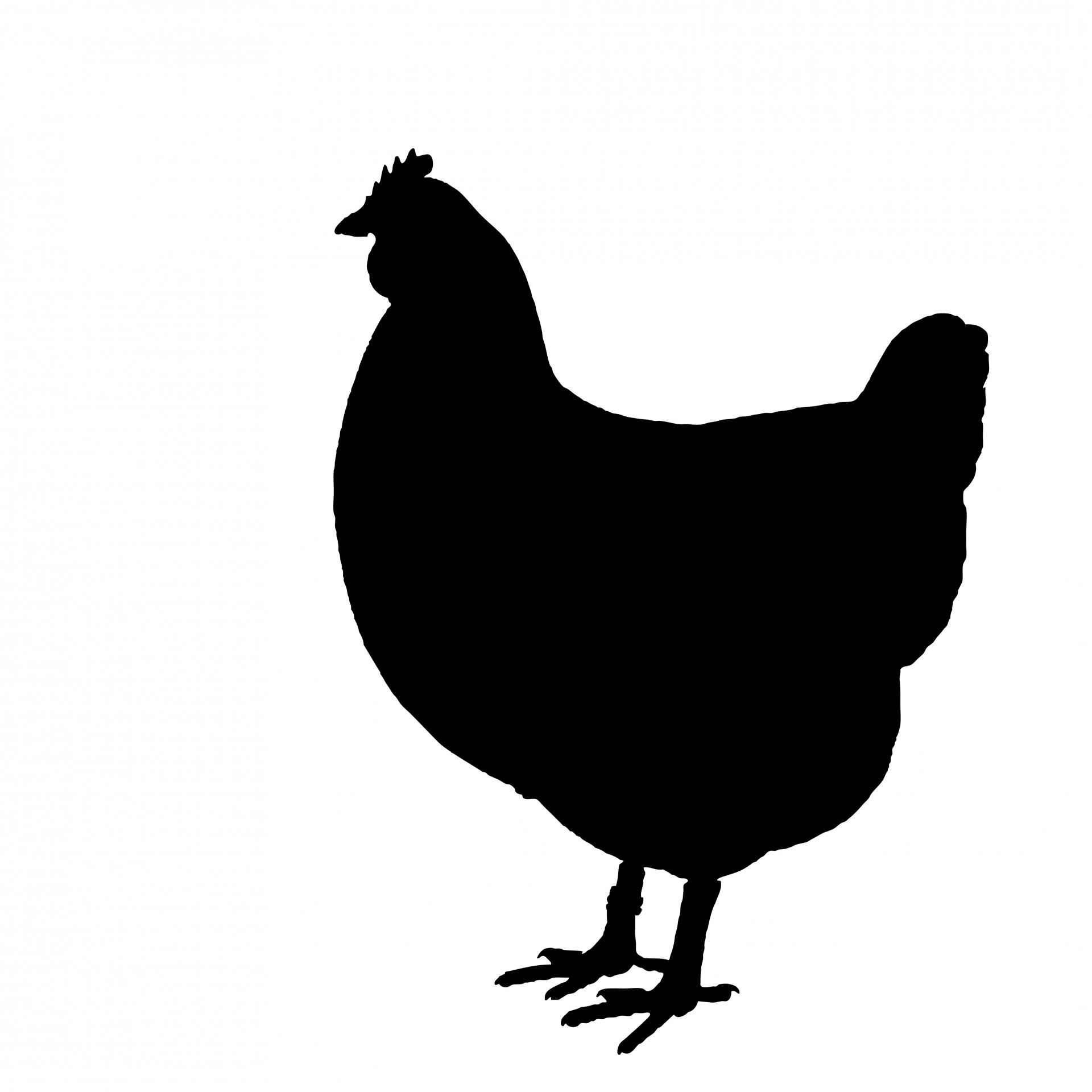 Chicken Silhouette Clipart Images.