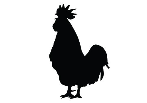 Chicken Silhouette Vector Download Silhouette Graphics.