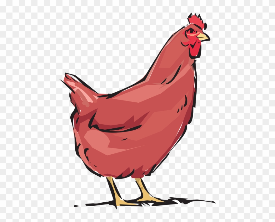 Red Hen,animal,farm,free Vector Graphics.