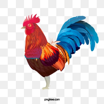 Chicken Vector, Free Download Chicken wings, Fried chicken, Chicken.