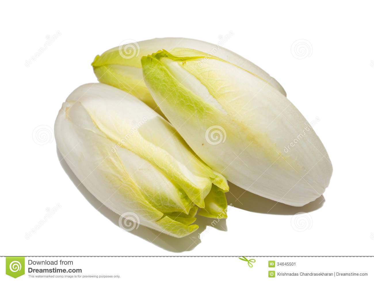 Fresh Chicory Vegetables Stock Photos, Images, & Pictures.
