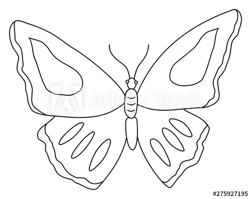 Butterfly clipart. Outline doodle vector illustration.
