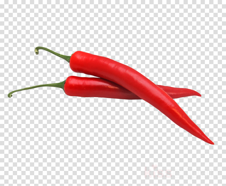 chilli png 20 free Cliparts | Download images on Clipground 2024