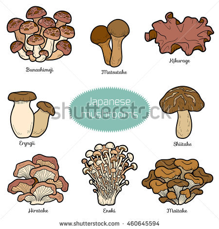 Fungi Stock Vectors, Images & Vector Art.