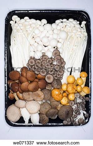 Picture of China. Edible mushrooms. we071337.