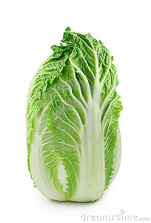 Chinese Cabbage Royalty Free Stock Photo.
