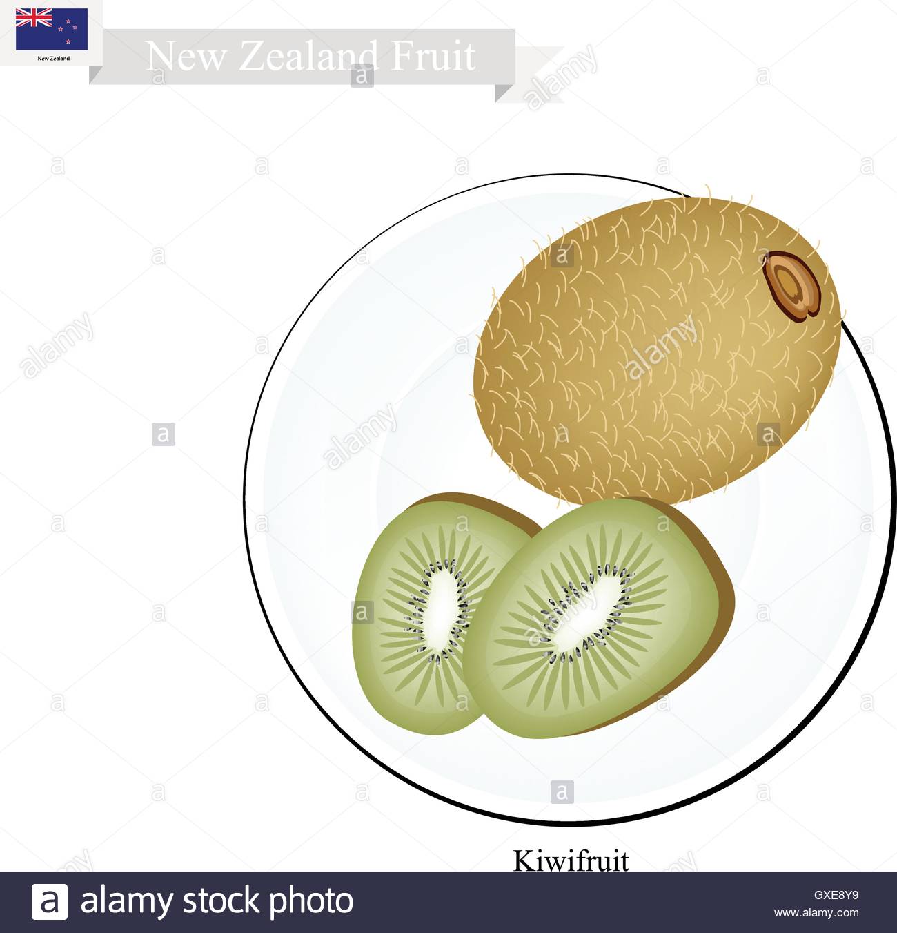New Zealand Fruit, Illustration Of Kiwifruit Or Chinese Gooseberry.