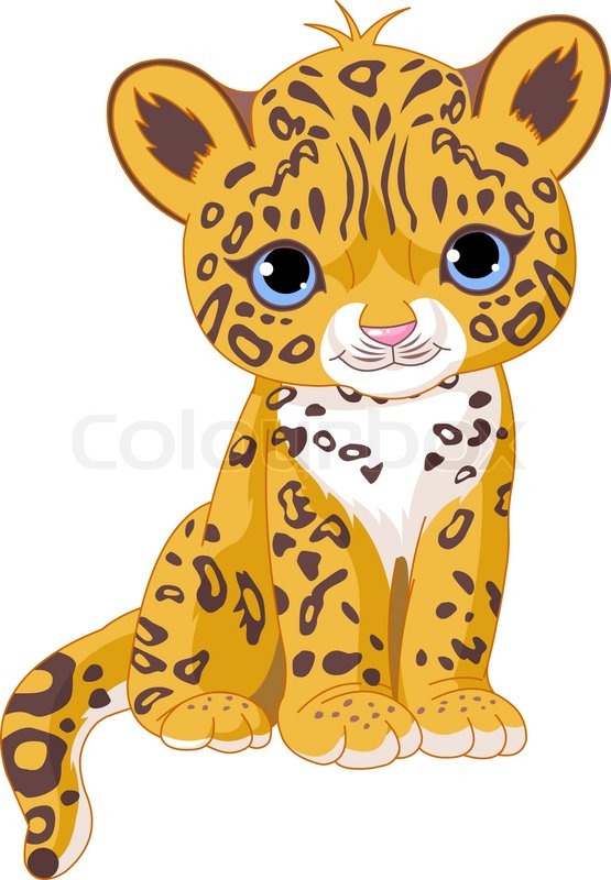 Buy Stock Photos of Leopard.