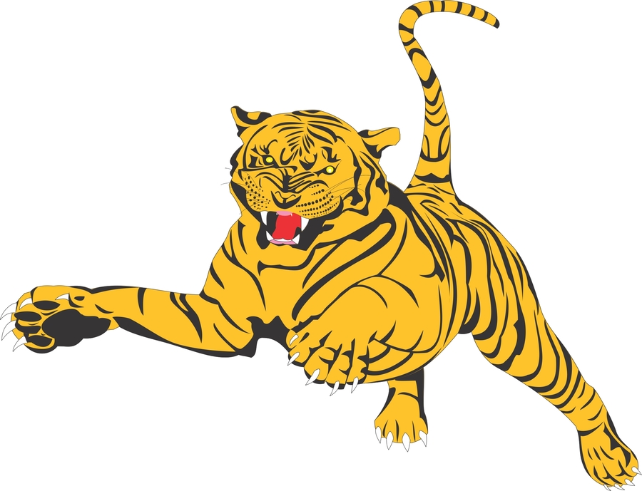 chinese tiger clipart 20 free Cliparts | Download images on Clipground 2022