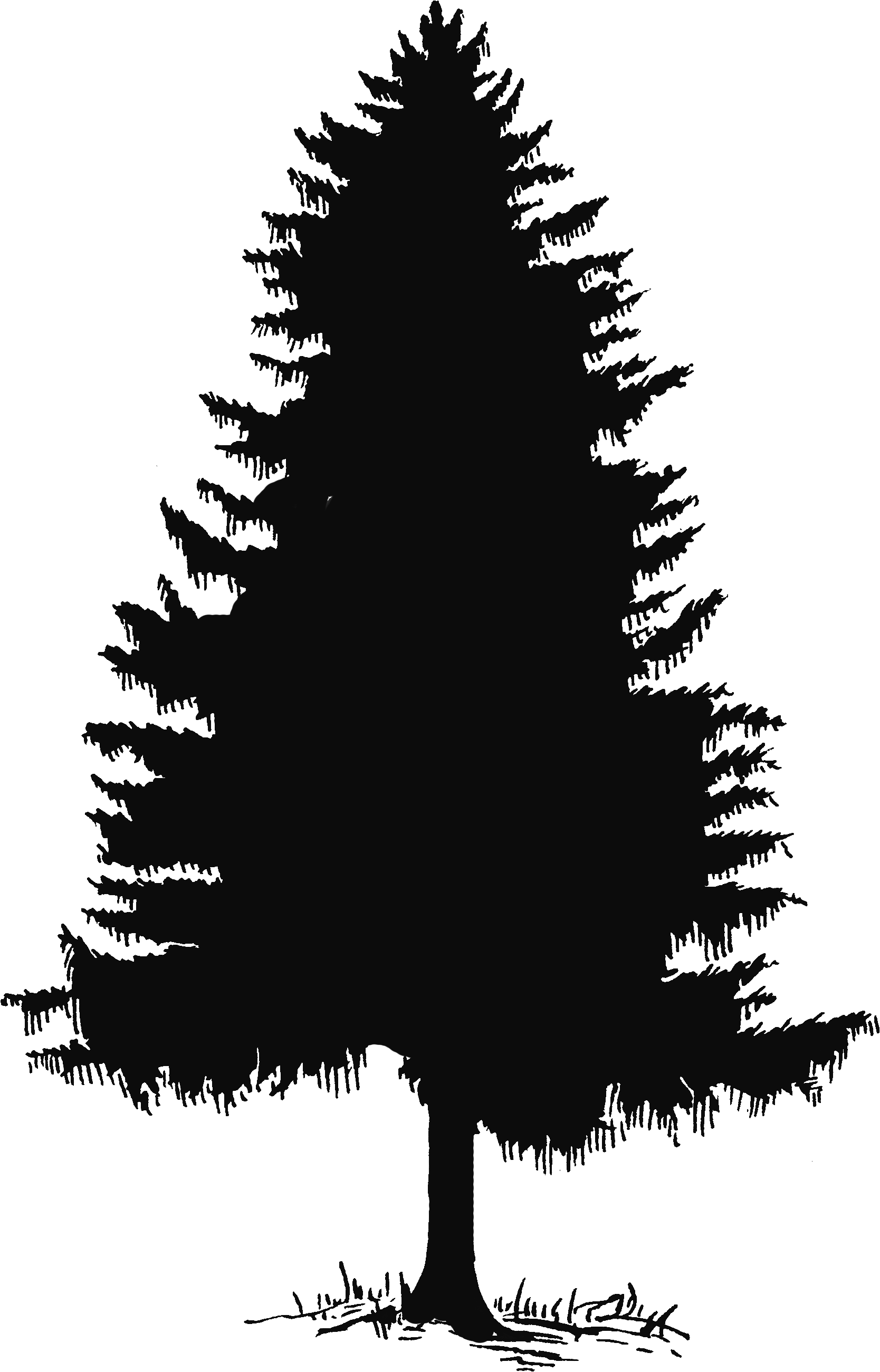 simple tree silhouette clear background clipart open source - Clipground