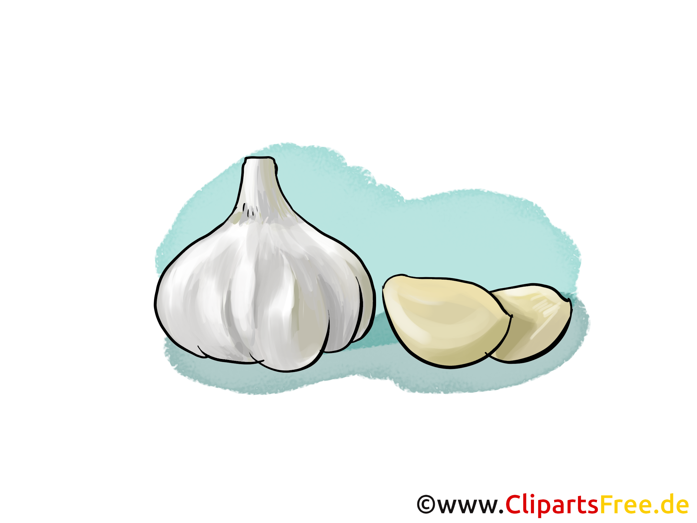 Knoblauch Bild, Illustration, Clipart, Grafik.