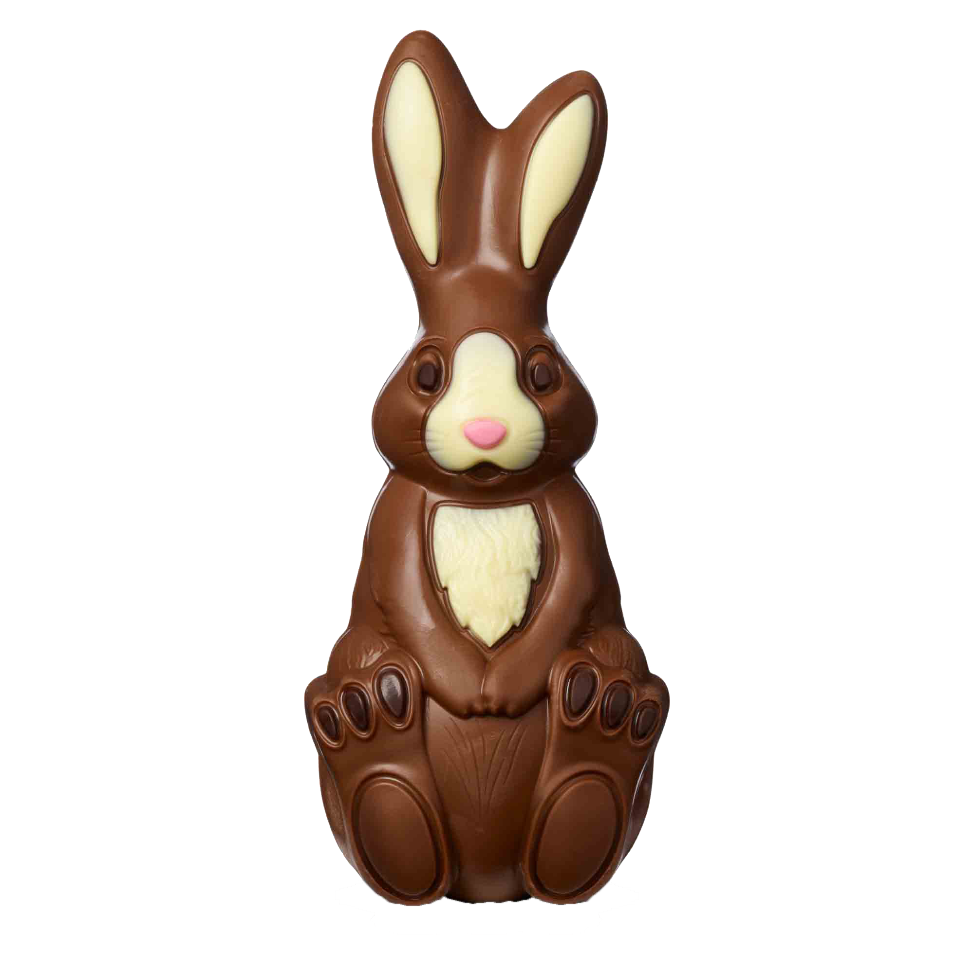 chocolate smelling bunny