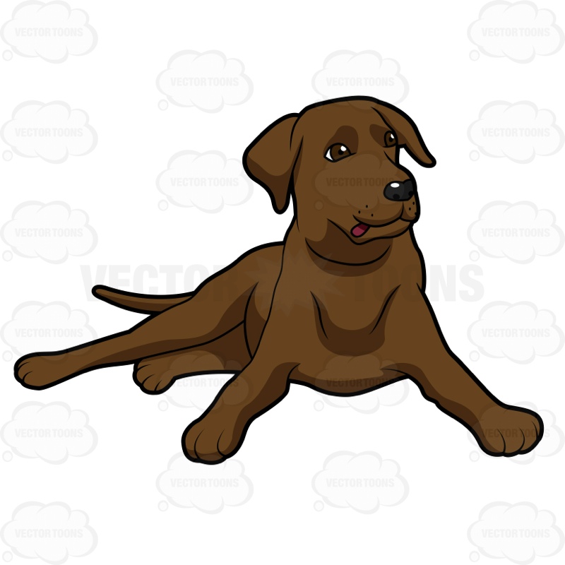 Chocolate lab clipart 20 free Cliparts | Download images on Clipground 2023