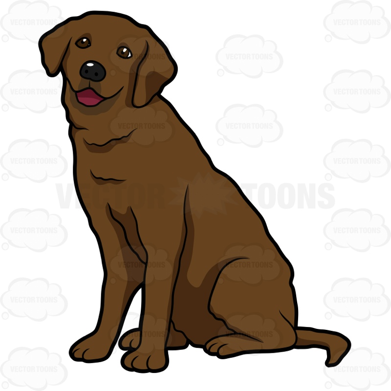 Chocolate lab clipart 20 free Cliparts | Download images on Clipground 2022