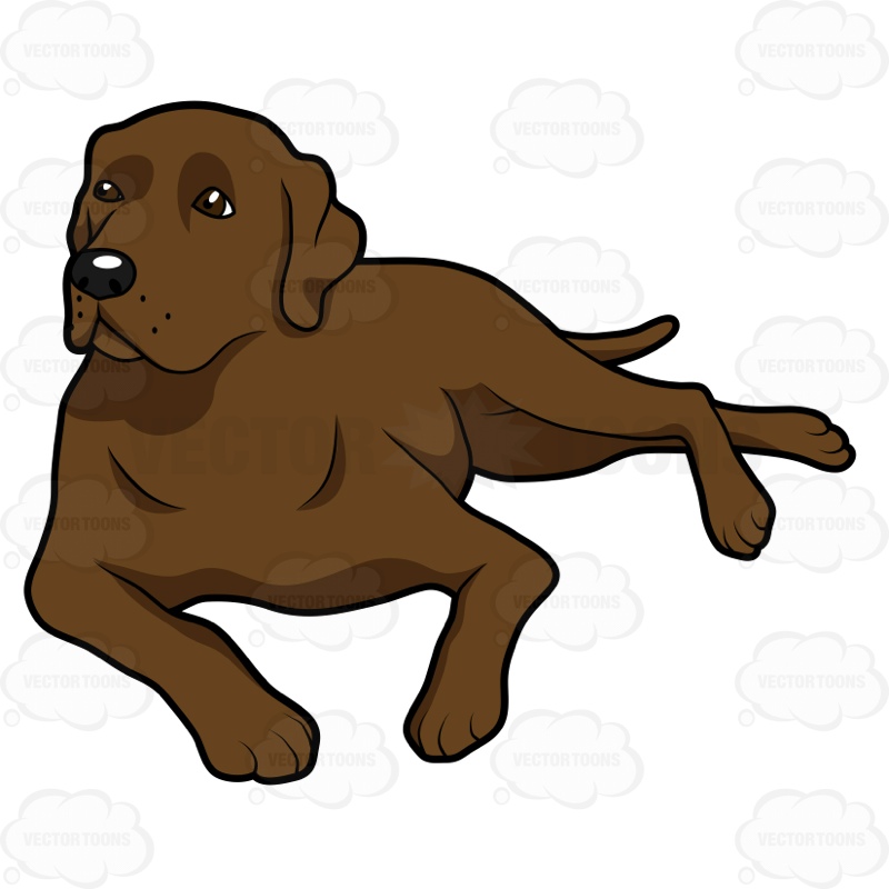 Chocolate lab clipart 20 free Cliparts | Download images on Clipground 2022