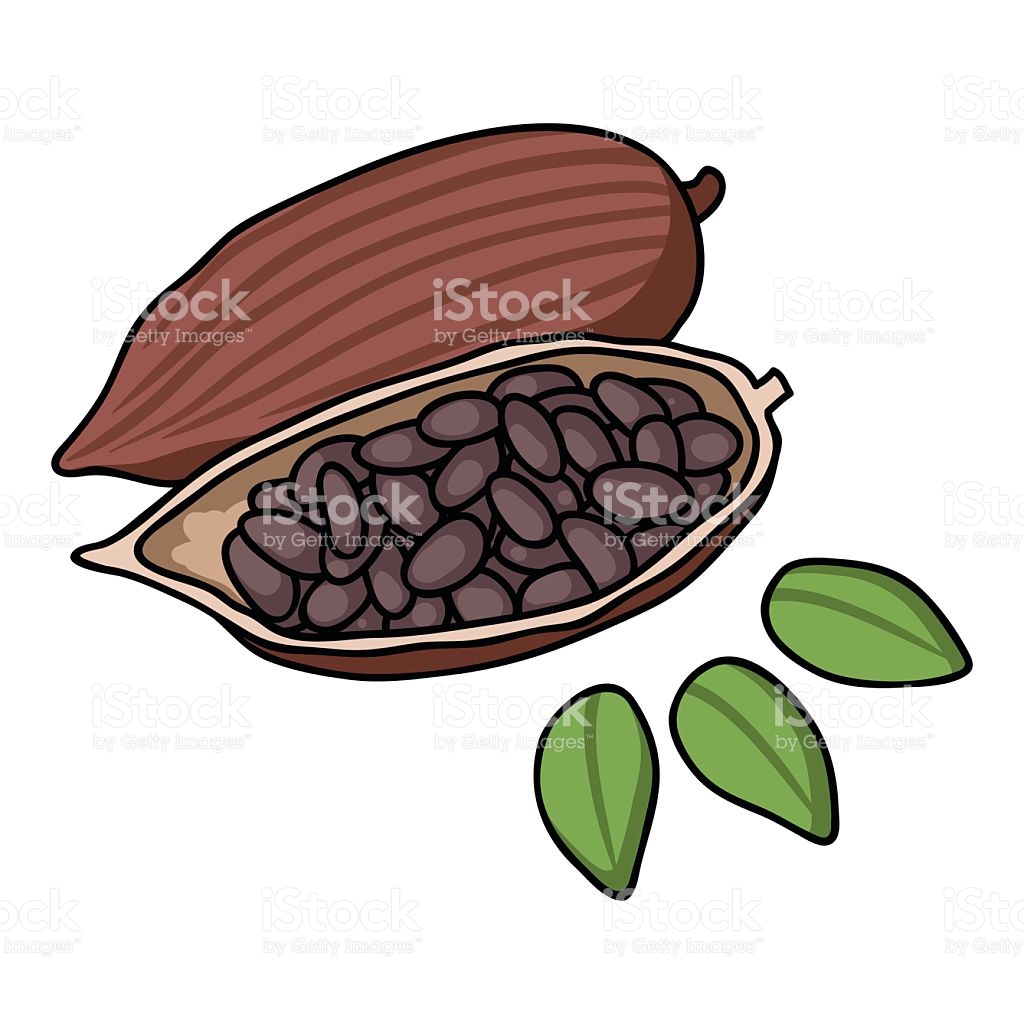 Roasted Cacao Beans Icon In Cartoon Style Isolated On White stock.