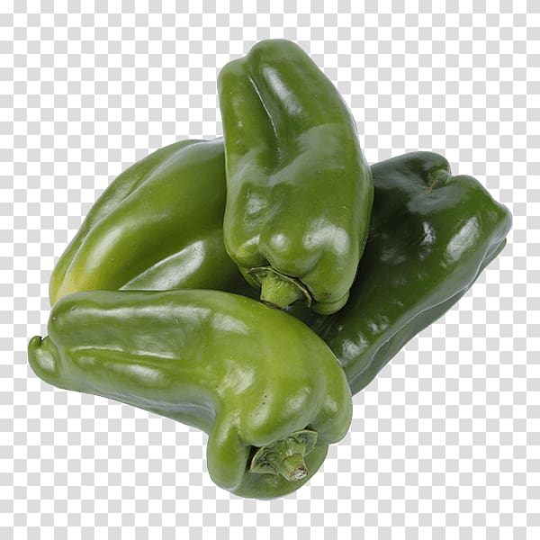 Bell pepper Poblano Jalapeño Pasilla Serrano pepper.