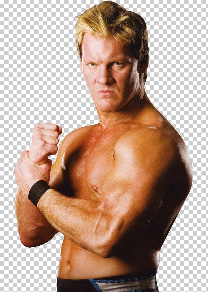 Chris Jericho WWE Superstars Professional Wrestler Finisher.