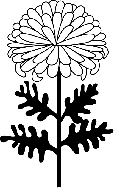 Chrysanthemum Clipart.