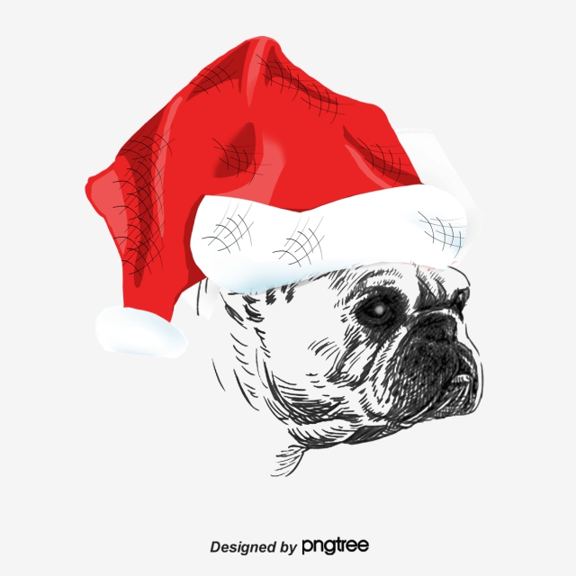 Christmas Dog Png, Vector, PSD, and Clipart With Transparent.