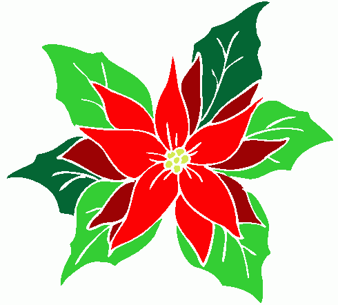 Free Christmas Poinsettia Pictures, Download Free Clip Art.