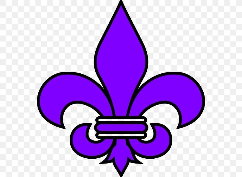 New Orleans Saints Fleur.