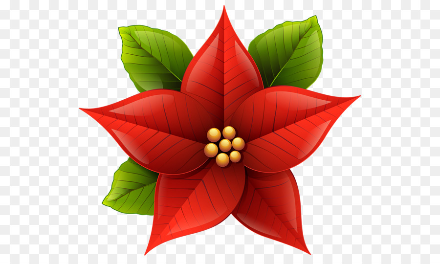 christmas flowers clipart 20 free Cliparts | Download images on