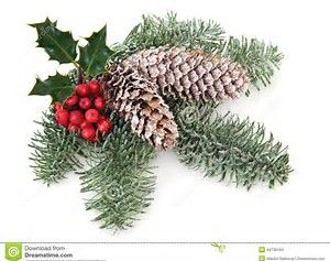 Download christmas greenery clipart 20 free Cliparts | Download ...