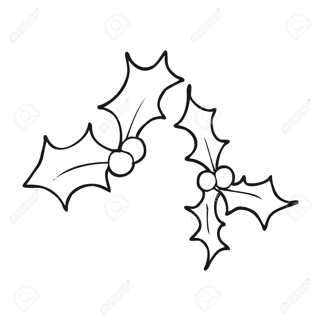 freehand drawn black and white cartoon christmas holly.