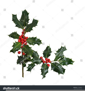 Christmas Holly Clipart Free Borders.