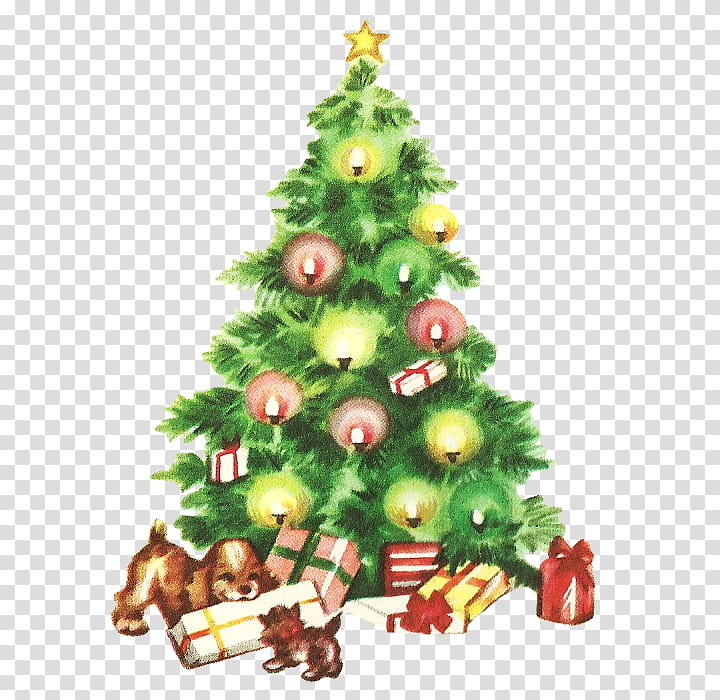 Christmas Resource , green christmas tree illustration.