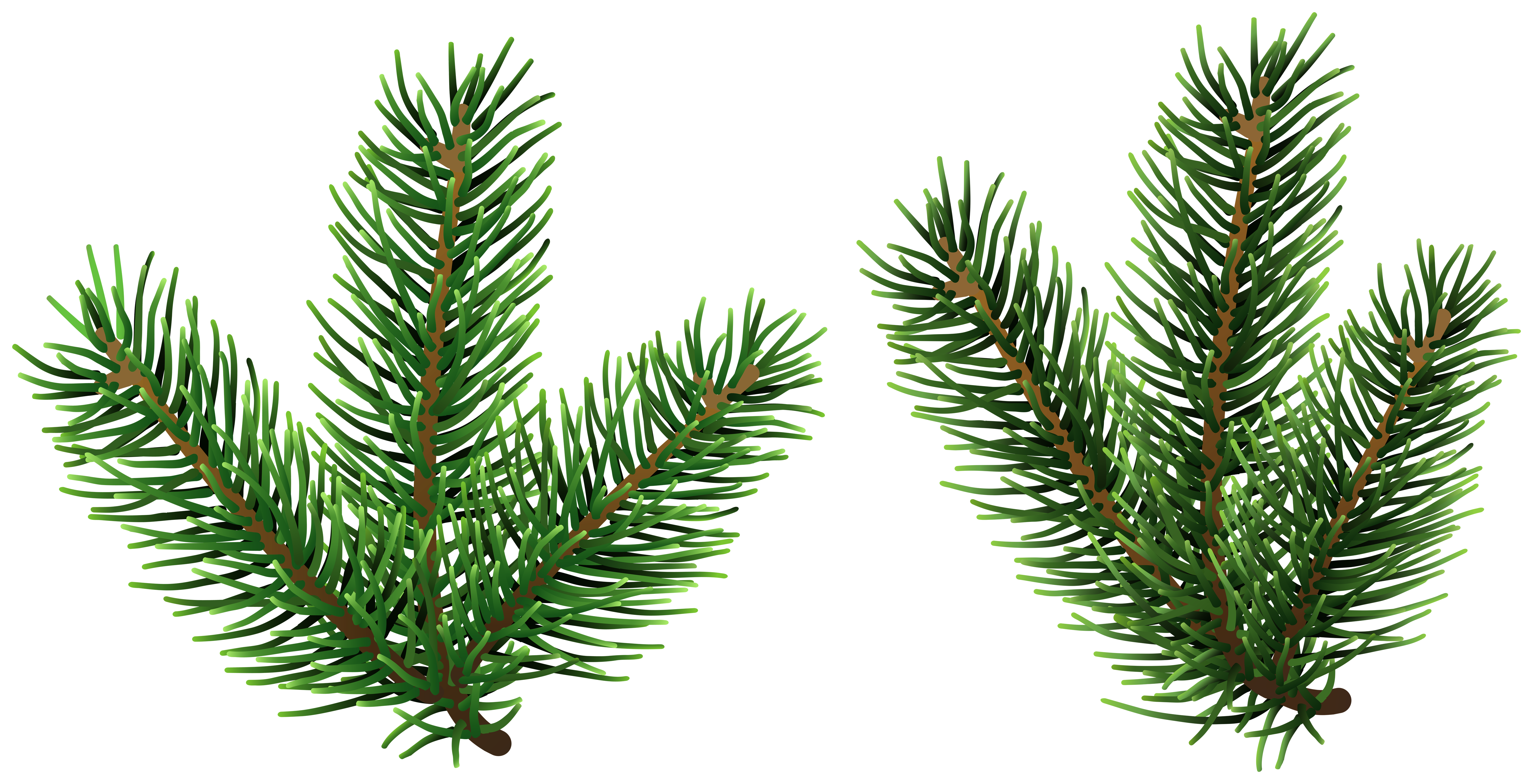 christmas tree branches png 20 free Cliparts | Download images on ...