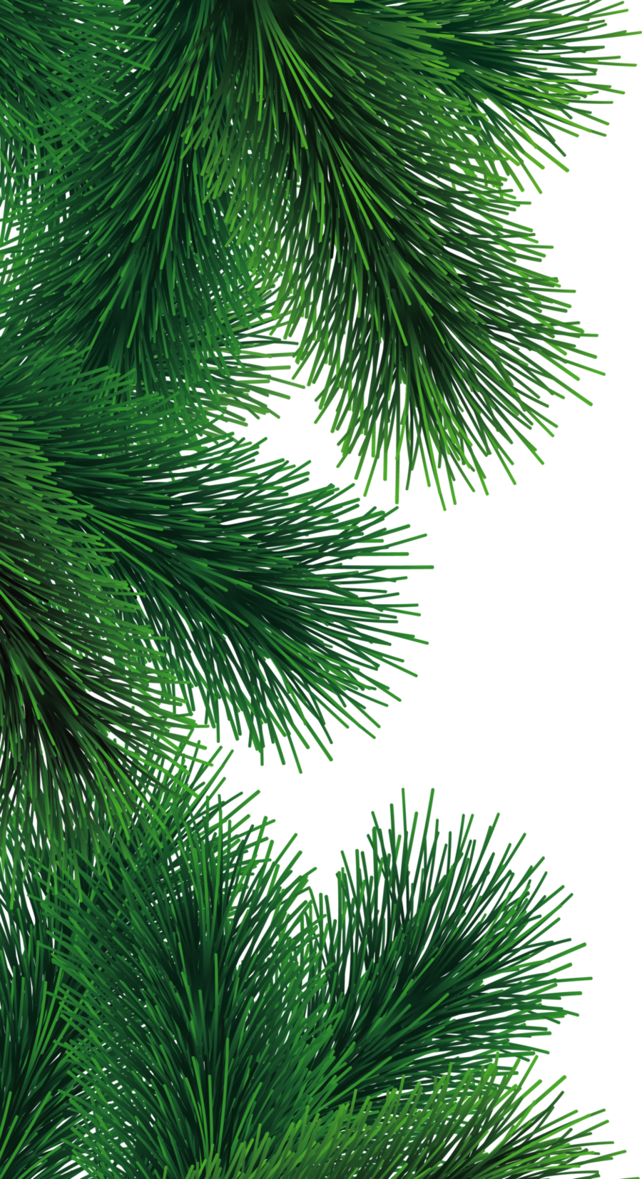 Free Christmas Tree Branch Png Download Free Christmas Tree Branch Png 