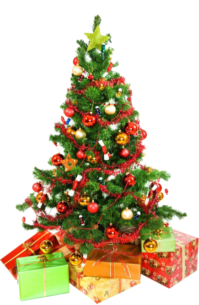 Download CHRISTMAS TREE Free PNG transparent image and clipart.