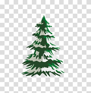 Christmas tree Cedar Pine Spruce, With snow pine transparent.