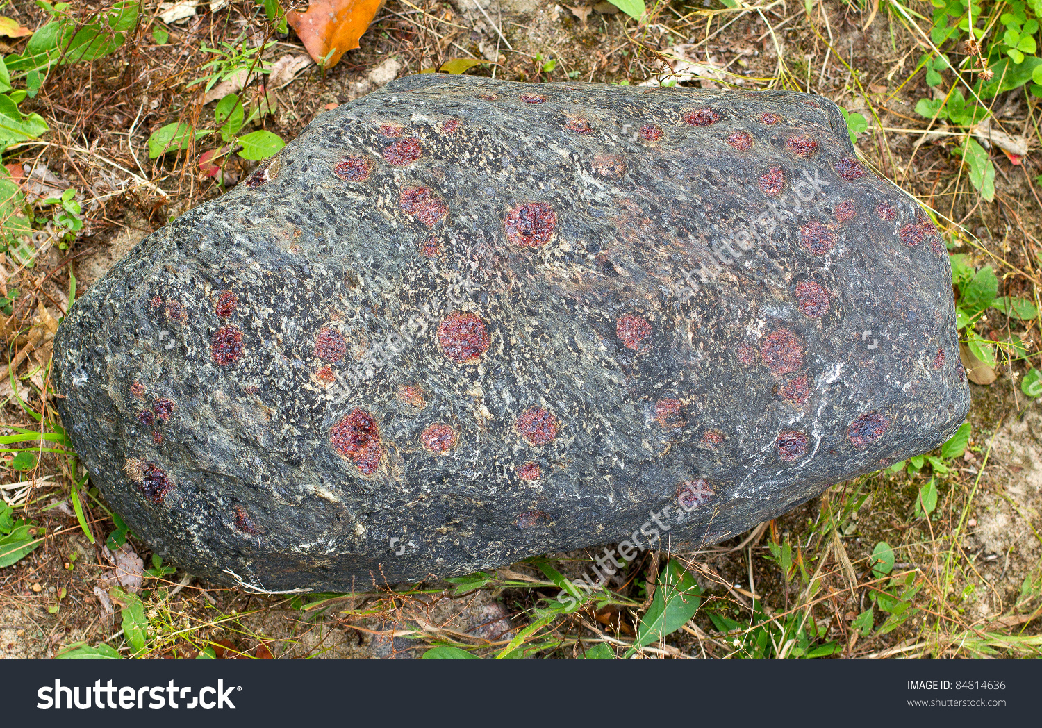 Garnet Crystals Embedded In A Large Gray Rock Stock Photo 84814636.