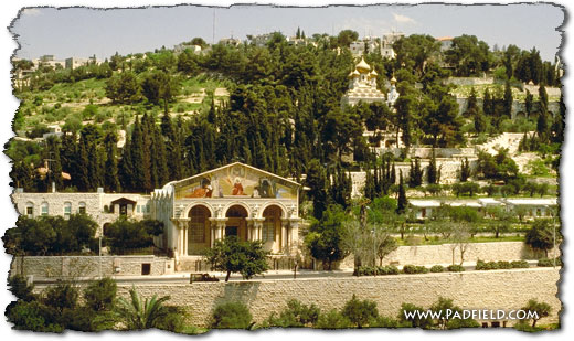 Mount Of Olives in Jerusalem, Israel.