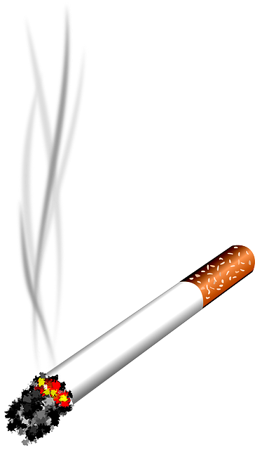 Cigarro png » PNG Image.