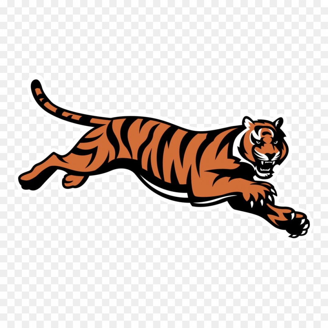 Тигр лого сбоку