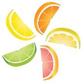 Citrus fruit Clip Art and Stock Illustrations. 3,397 citrus fruit.