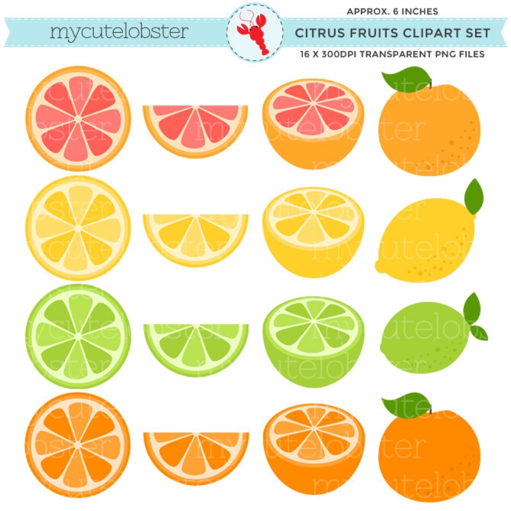 citrus fruits clipart set clip art set of mycutelobsterdesigns.