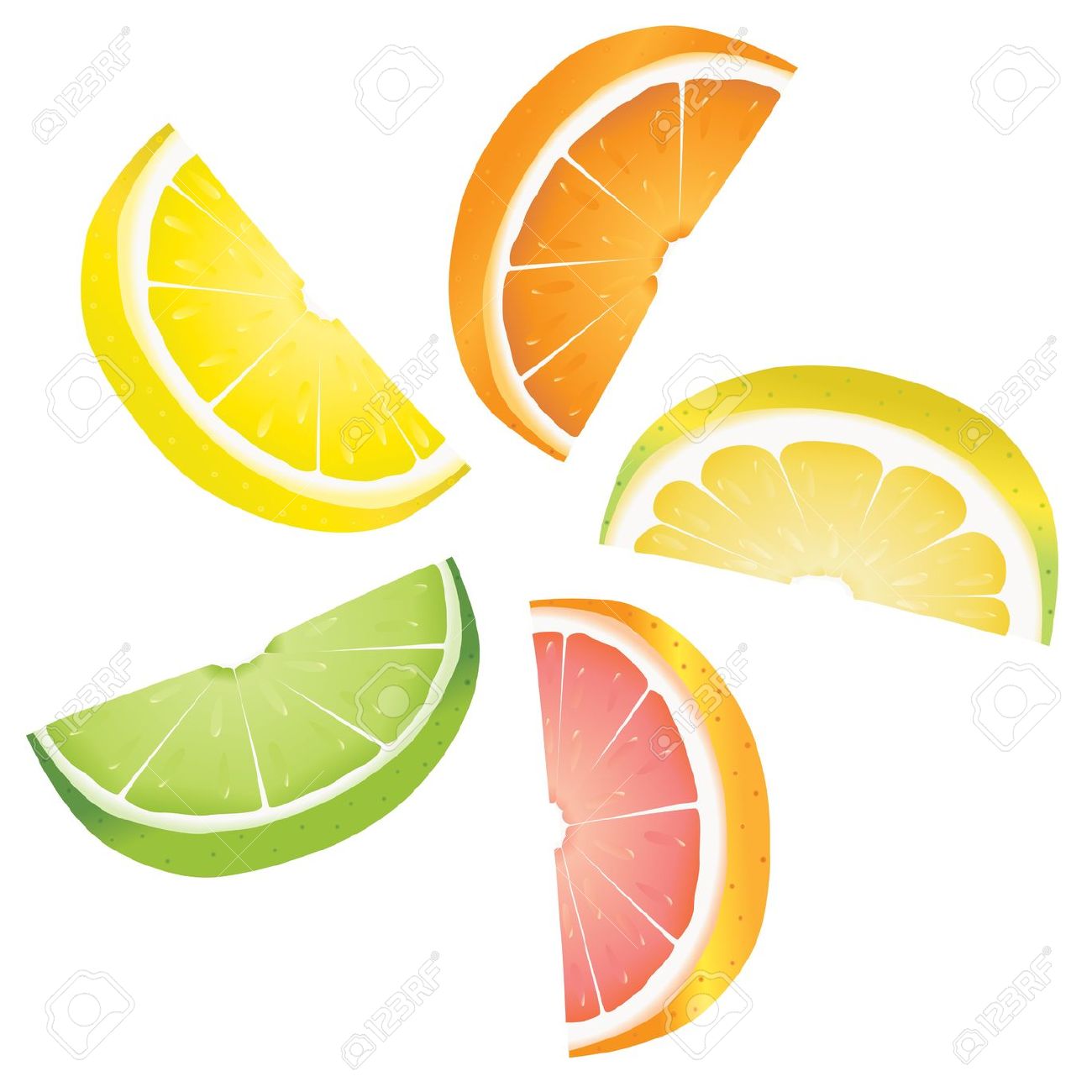 Citrus Fruits Clipart 20 Free Cliparts Download Images On Clipground 2023