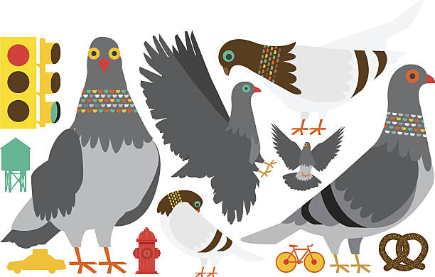 New York City Pigeon Clip Art, Vector Images & Illustrations.