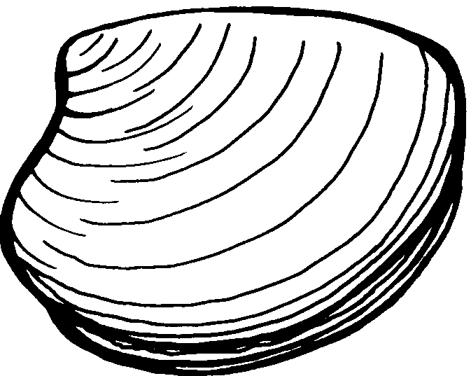 Free Clams Cliparts, Download Free Clip Art, Free Clip Art.