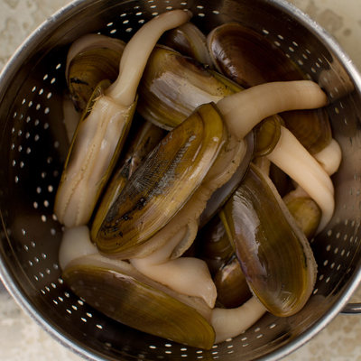 How to clean razor clams.