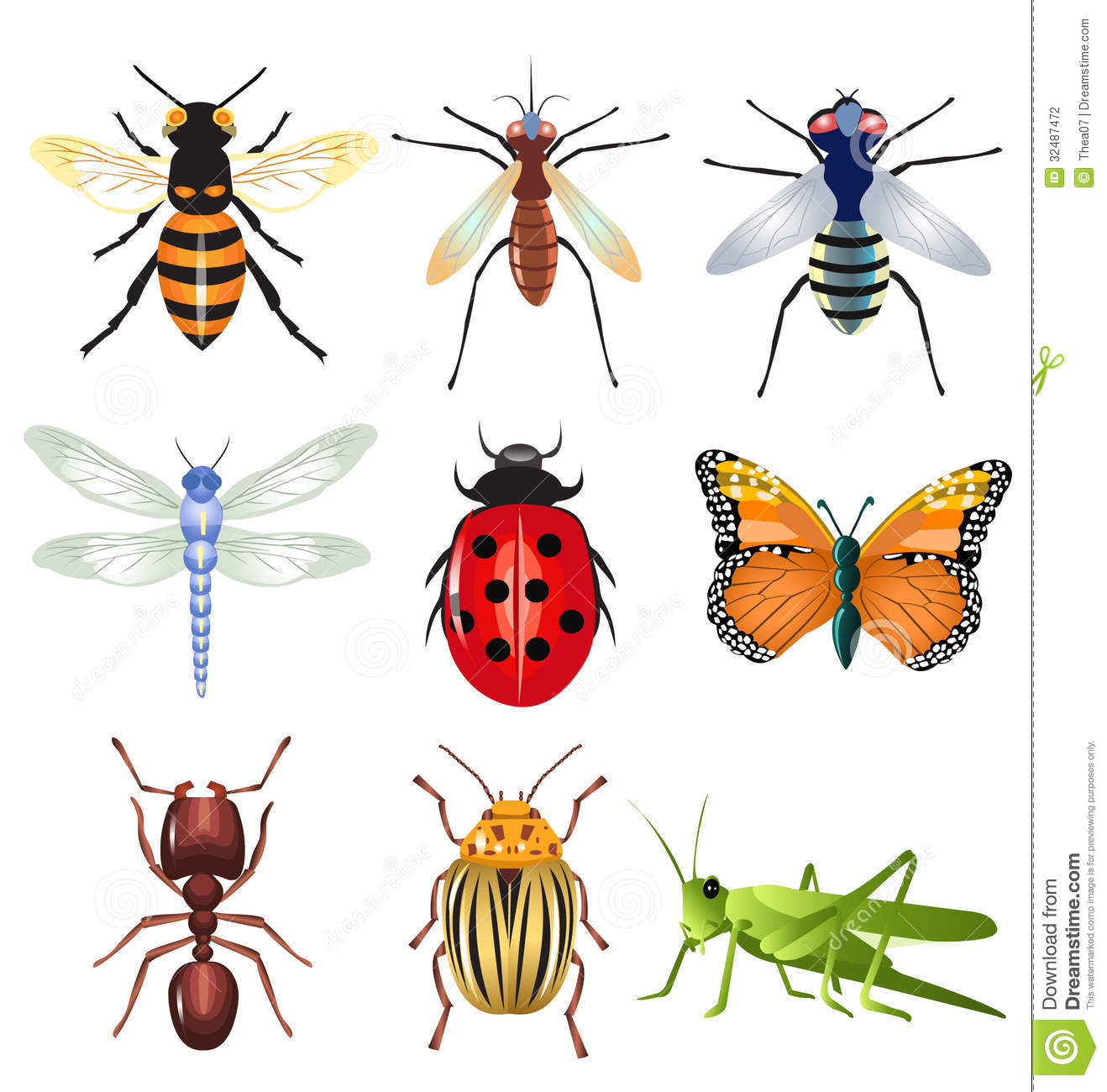 1000+ images about Insects on Pinterest.