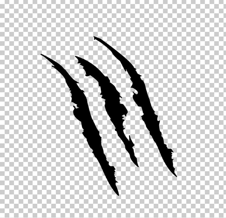 Claw Scratch PNG, Clipart, Black And White, Claw, Clip Art.